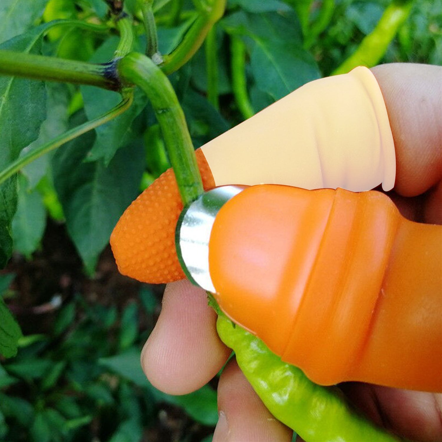 Set of thumb cutters for vegetables Set of thumb cutters for vegetables
